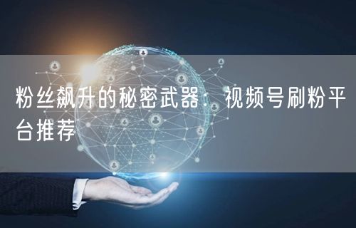 粉丝飙升的秘密武器：视频号刷粉平台推荐