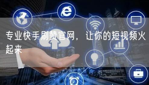 专业快手刷赞官网，让你的短视频火起来