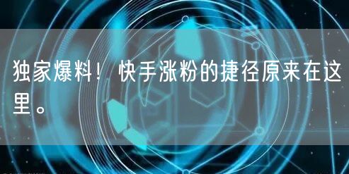 独家爆料！快手涨粉的捷径原来在这里。