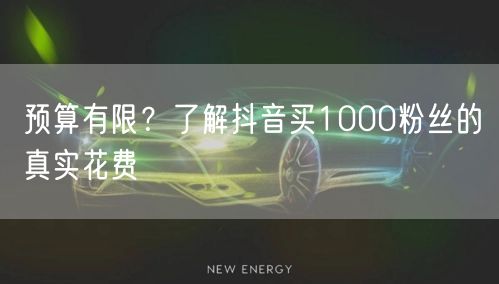 预算有限？了解抖音买1000粉丝的真实花费
