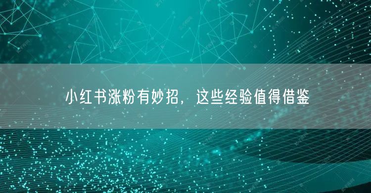 小红书涨粉有妙招，这些经验值得借鉴