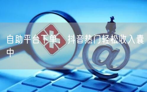 自助平台下单，抖音热门轻松收入囊中