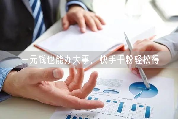 一元钱也能办大事，快手千粉轻松得