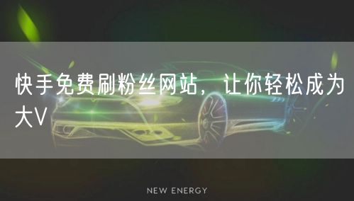 快手免费刷粉丝网站，让你轻松成为大V