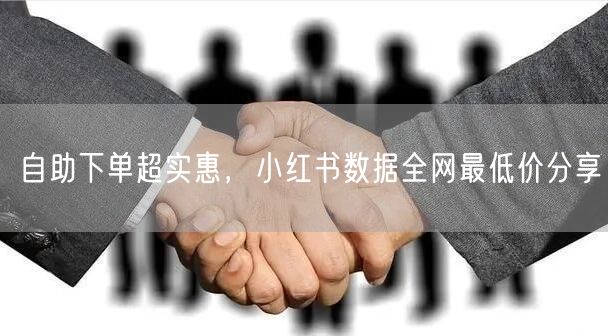 自助下单超实惠，小红书数据全网最低价分享