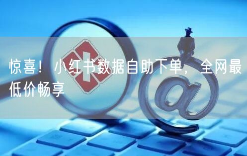 惊喜！小红书数据自助下单，全网最低价畅享